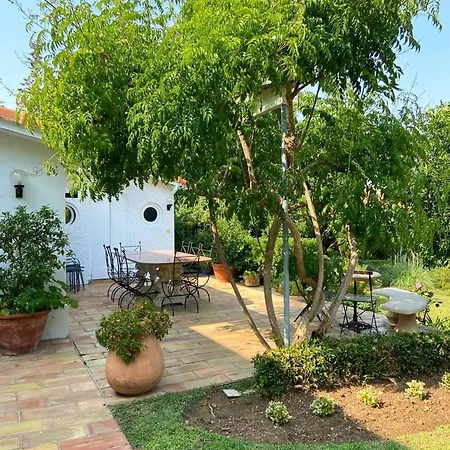Magnifique Propriete - Piscine - Antibes